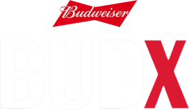 BudX